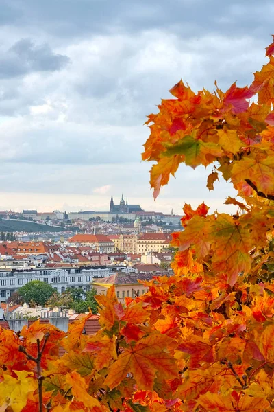 Prag Tschechien Oktober 2022 Schöne Aussicht Auf Das Herbstliche Prag — Stockfoto