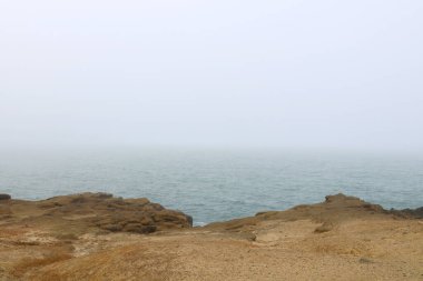 Pasifik Okyanusu kıyısında sisli bir sabah manzarası