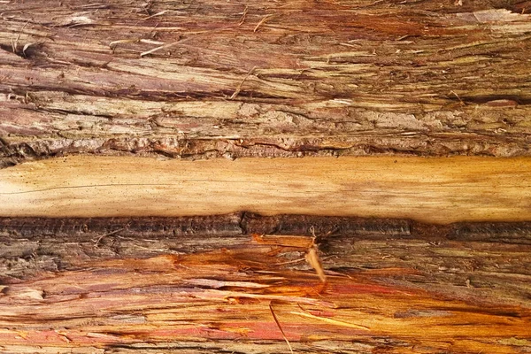 Textura Corteza Del Árbol Fondo Del Tronco Del Árbol Sequoy — Foto de Stock