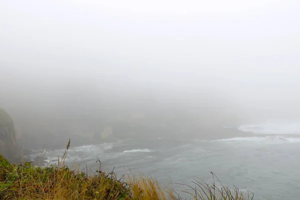 Foggy Cloudy Morning Pacific Coast — Stock Photo, Image