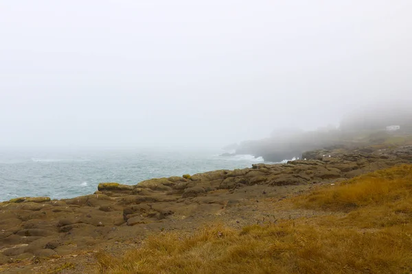 Mgliste Wybrzeże Oregonu Pacyfiku — Zdjęcie stockowe