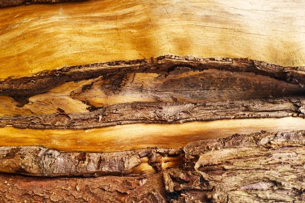 Beautiful Wood Texture Wood Wood Nature Background — Stock Photo, Image