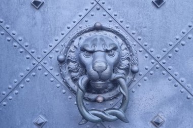 Demir kapıların saplı görüntüsü