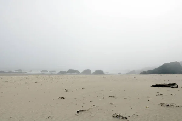 海または海による霧の朝 — ストック写真