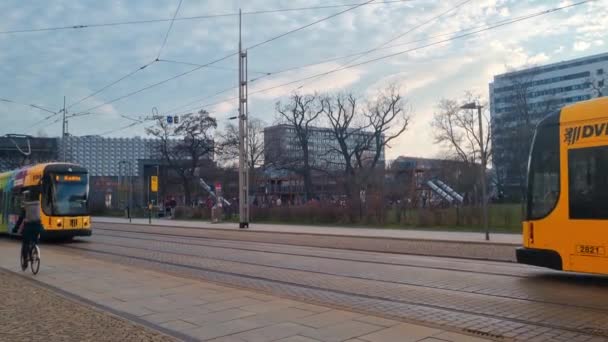Дрезден Германия Марта 2023 Года Современные Трамваи Улицах Дрездена — стоковое видео