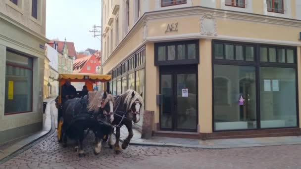 ドレスデン ドイツ 2023年3月16日 観光客は 市内の古い通りを見て 馬車に乗る — ストック動画