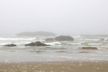 Sabahları Pasifik sahillerinde yoğun sis var.