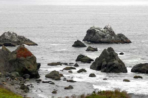 米国の太平洋の岩だらけの海岸 自然の背景 — ストック写真