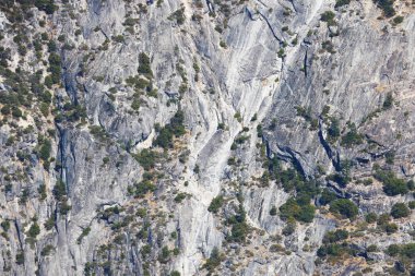 View of the rocks and small vegetation. Background of nature