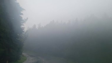 Hareket halindeki bir arabadan ıslak ve sisli yol manzarası