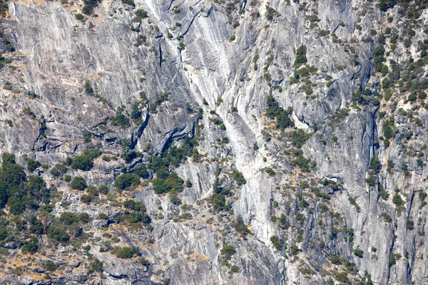 Вид Серые Скалы Зелеными Деревьями — стоковое фото