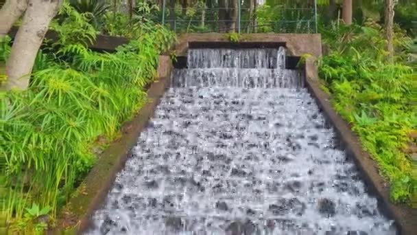 Невеликий Каскад Водоспадів Зеленому Парку — стокове відео