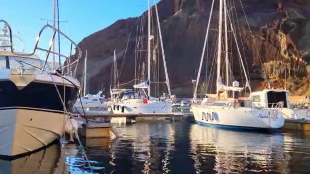 Madeira Portugal November 2022 Kleiner Hafen Mit Schiffen Und Booten — Stockvideo
