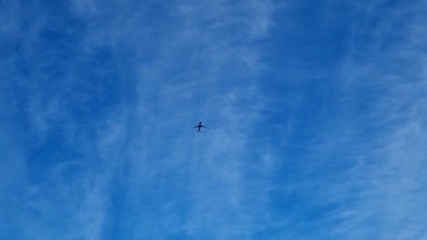 Θέα Από Κάτω Ενός Ιπτάμενου Αεροπλάνου Γαλάζιο Ουρανό — Αρχείο Βίντεο