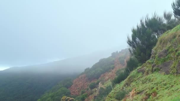 崖や山の上の厚い霧 — ストック動画