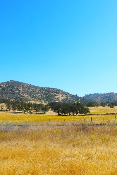Krásná Krajina Slunečného Arizony Horký Den — Stock fotografie