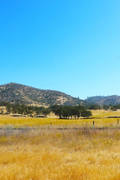 Prachtig Landschap Van Zonnig Arizona Het Een Warme Dag — Stockfoto