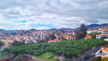 Yukarıdan Funchal şehrinin manzarası. Madeira Adası