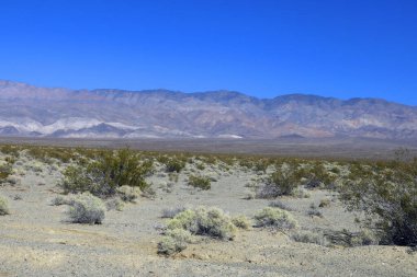 Amerika 'da çöldeki parlak kırmızı dağ kayaları.