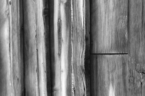 Черно Белый Деревянный Фон Текстура Дерева Дерева — стоковое фото