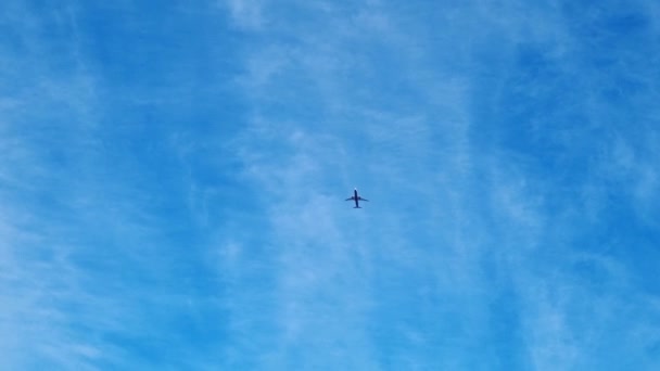 Vista Inferior Avión Volador Contra Cielo Azul — Vídeo de stock