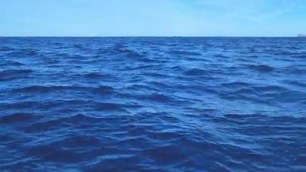 海豚从大西洋的水域中出现 — 图库视频影像