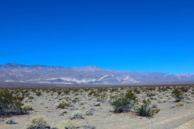 Amerika 'da çölde kayalık arazi
