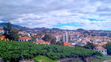 Madeira adasının yamacındaki evlerin güzel manzarası.