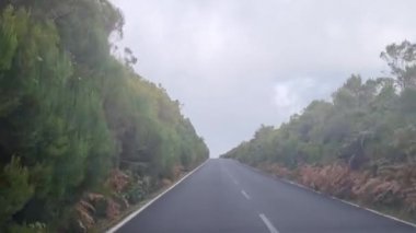 Madeira adasının yolunda hızlı sürüş