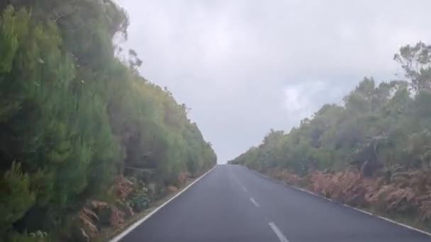 Fast Driving Road Island Madeira — Stock Video