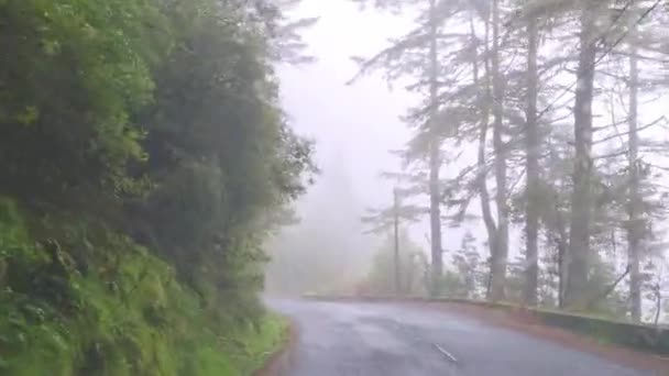 急な湿った山道をドライブ — ストック動画