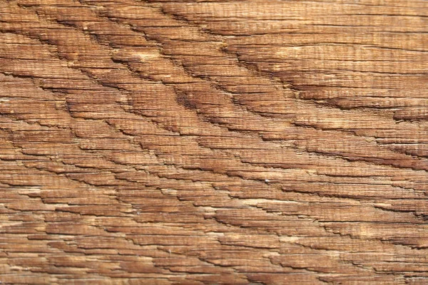 Brown Texture Wood Wood Tree Background — Stock Photo, Image