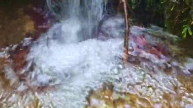 Ormandaki bir tepeden bir su akıntısı düşüyor. Su akıntısı