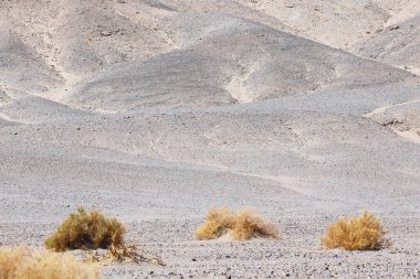 Amerika 'nın ulusal parkındaki dağların çöl yamaçlarının manzarası.