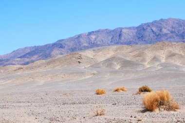 ABD 'deki ulusal parktaki dağlar, çöl.