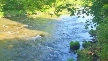 Ulusal parktaki küçük bir dağ nehrinin manzarası