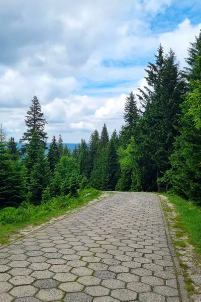 Dağlarda yürümek için eski bir patika.