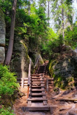 Manzaralı bir patika ve ormanda ahşap bir merdiven
