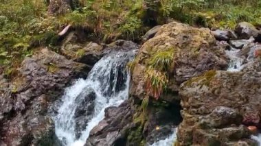 Dağın yamacından küçük bir su akıntısı akar. Temiz dağ suyu