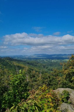 Güneşli bir yaz gününde dağların yamacında güzel bir manzara.