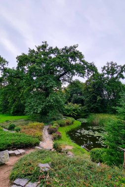 Göllü küçük yeşil bir park manzarası