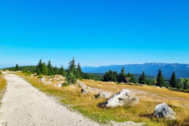 Dağlarda yürüyüş için küçük bir patika.