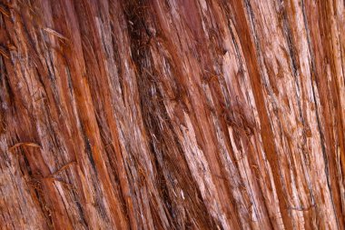 Bu fotoğraf, bir ahşap parçasının karmaşık deseni ve dokusunun yakın çekimini gösteriyor. Tahta tanecikleri ve düğümlerin ayrıntıları belirgin bir şekilde gösteriliyor ve görsel olarak ilginç bir görüntü yaratıyor..