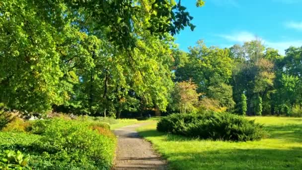 Spokojna Ścieżka Wiedzie Przez Zielony Park Drzewami Wczesnej Jesiennej Kolorystyce — Wideo stockowe