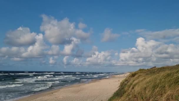 Ondas Batendo Praia Areia Lado Oceano Sob Céu Azul Nublado — Vídeo de Stock