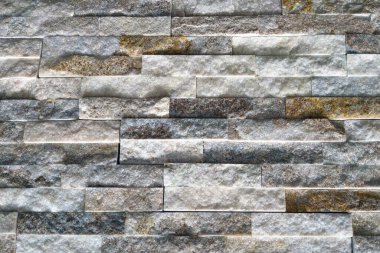 Bu yakın planda, taştan bir duvar yemyeşil yosunlarla kaplıdır. Yosun, yıpranmış taşların dokulu yüzeyinde gelişiyor gibi görünüyor. Engebeli kayayla yumuşak yosun arasında görsel olarak ilginç bir kontrastlık oluşturuyor..