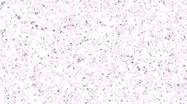 Çok sayıda küçük noktayla kaplı mor arkaplanın yakın plan görüntüsü canlı ve dokulu bir görsel ekran oluşturur..