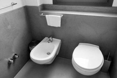 Beyaz bide ve tuvaletin olduğu modern minimalist banyo pürüzsüz, nötr bir arkaplana karşı. Temiz çizgiler ve dağınık olmayan alan basitlik ve işlevselliği vurgular, parlak ve verimli bir banyo alanı yaratır.