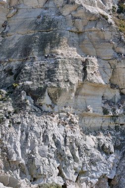 Dik doğal kaya oluşumu değişken dokular, beyaz kayalar ve seyrek bitki örtüsü sergiliyor. Jeolojik çalışmalar için mükemmel, doğa fotoğrafçılığı ve eğitim amaçlı. Çeşitli kaya katmanlarını ve doğal aşınma şekillerini yakalar.