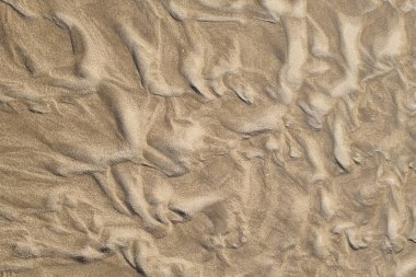 Yüksek çözünürlüklü yakın çekim, rüzgar ve sudan oluşan karmaşık desenleri gösteriyor. Altın kumun detaylı dokusu organik ve soyut bir arkaplan yaratır, tasarım, sanat projeleri veya doğa temalı uygulamalar için mükemmeldir..